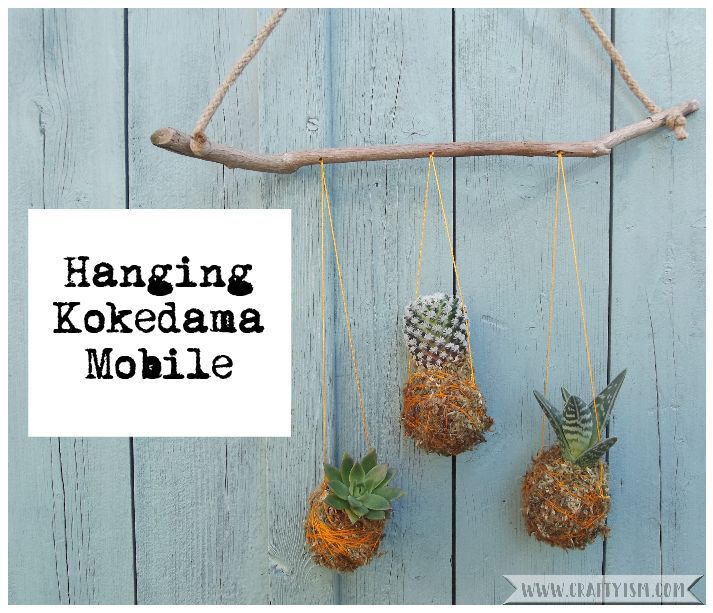 How to tutorial - Hanging Kokedama Mobile | Title