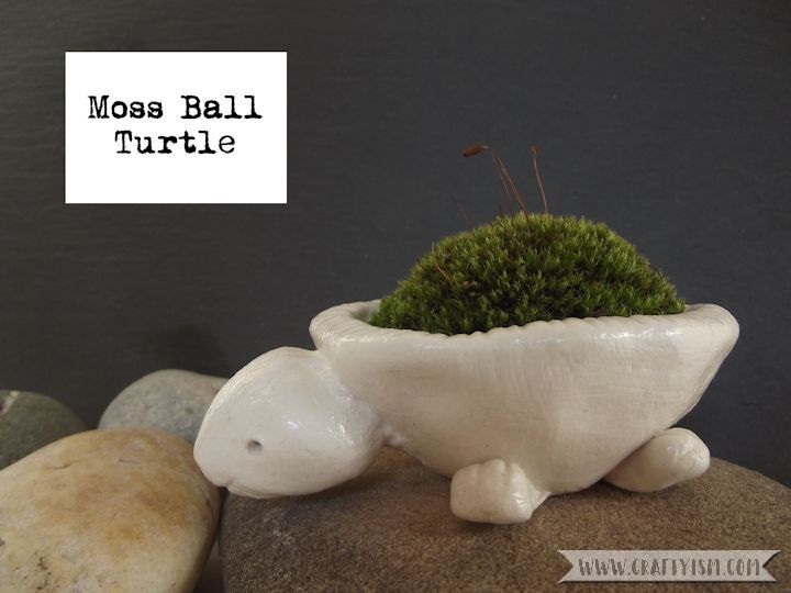 How-to Tutorial Moss Ball Turtle
